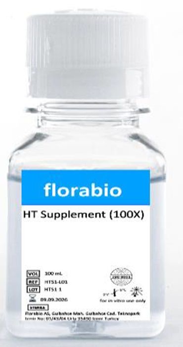 HT Supplement (100X) 10 mM Sodium hypoxanthine1.6 mM Thymidine Liquid 0,1 L