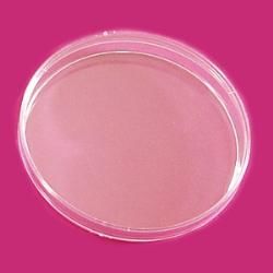 LP Italiana L121518 Petri Kutusu, Plastik PS 100 mm  Ambalaj Miktarı: 10 Ad.