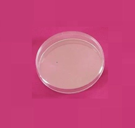 LP Italiana L122510A Petri Kutusu, Plastik PS 90 mm Gama  Ambalaj Miktarı: NULL