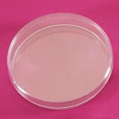 LP Italiana L122518 Petri Kutusu, Plastik PS 90 mm Aseptik  Ambalaj Miktarı: 25 Ad.