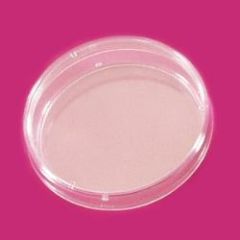 LP Italiana L123518 Petri Kutusu, Plastik PS 35 mm  Ambalaj Miktarı: 10 Ad.