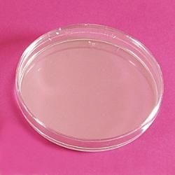 LP Italiana L126518 Petri Kutusu, Plastik PS 120 mm  Ambalaj Miktarı: 10 Ad.