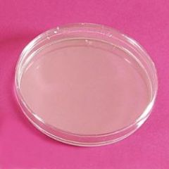 LP Italiana L126518 Petri Kutusu, Plastik PS 120 mm  Ambalaj Miktarı: 10 Ad.