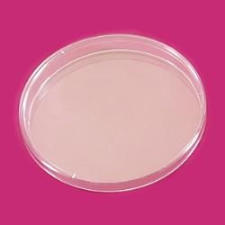 LP Italiana L127518 Petri Kutusu, Plastik PS 150 mm  Ambalaj Miktarı: 10 Ad.