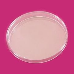 LP Italiana L127518 Petri Kutusu, Plastik PS 150 mm  Ambalaj Miktarı: 10 Ad.
