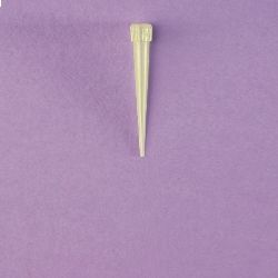 LP Italiana L151348 Pipet Ucu, Eppendorf, Sarı, 5-100 µl, 5'lik Poşette Steril  Ambalaj Miktarı: 20x5 Ad.