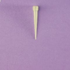 LP Italiana L151348 Pipet Ucu, Eppendorf, Sarı, 5-100 µl, 5'lik Poşette Steril  Ambalaj Miktarı: 20x5 Ad.