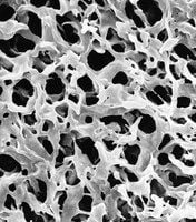 Millipore VVLP04700 Durapore membrn,PVDF,h.flk,0.1um,47mm,Beyaz, Düz   Ambalaj Miktarı: 100 Ad.