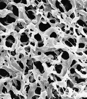 Millipore GVWP02500 Durapore mebrn,PVDF,hflk,0.22um,25mm,Beyaz, Düz   Ambalaj Miktarı: 100 Ad.