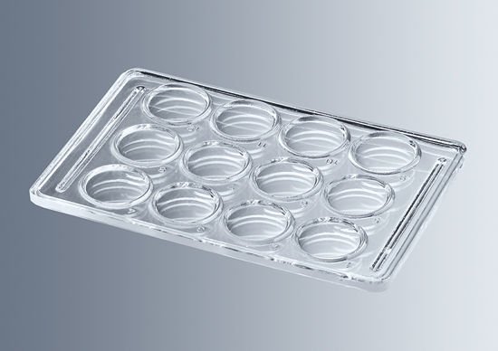 Marienfeld 1800002 Çukur Lam, Mikroflokülasyon için, 12 Kuyucuklu  Ambalaj Miktarı: 1 Ad.