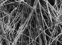 Millipore AP408X105 Glass Fiber,bağlayıcı ajansız,AP40,8x10''  Ambalaj Miktarı: 50 Ad.