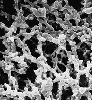 Millipore DAWP09025 MF-, Karışık selüloz ester, hidrofilik, 0.65um, 90mm, Beyaz, Düz   Ambalaj Miktarı: 25 Ad.
