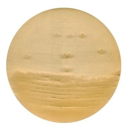 Merck 105272.0500 Antibiotic Agar No. 1 For Microbiology (Ambalaj Miktarı : 500 gr)