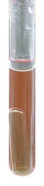 Merck 101617.0500 Bryant Burkey Broth With Resazurin And Lactate For Microbiology (Ambalaj Miktarı : 500 gr)