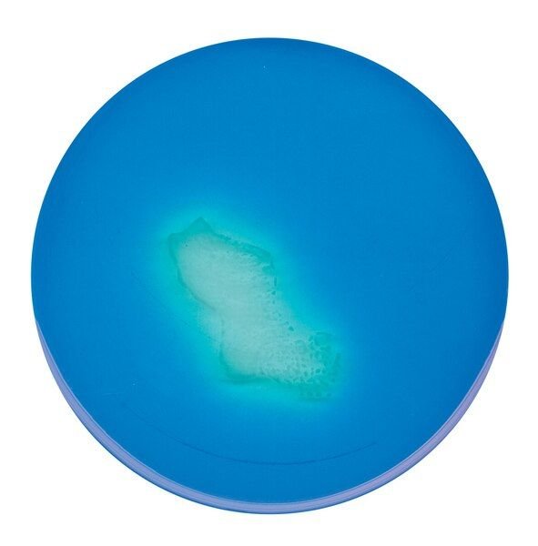 Merck 109878.0500 Msrv Medium (Base) Modified For Microbiology (Ambalaj Miktarı : 500 gr)