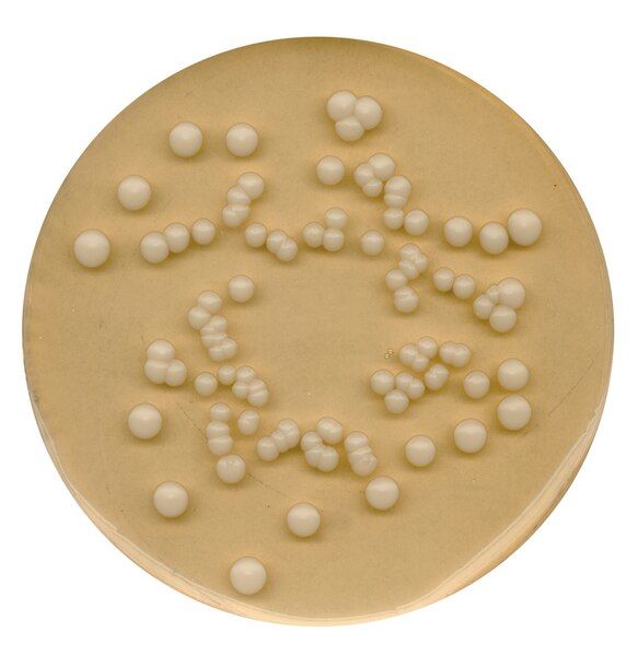Merck 110130.0500 Potato Dextrose Agar For Microbiology (Ambalaj Miktarı : 500 gr)