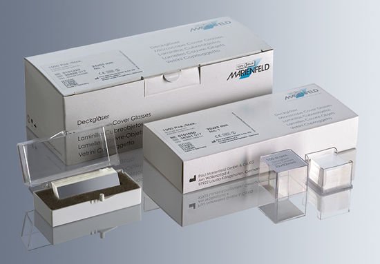 Marienfeld 100122 Lamel No:0, 22x40 mm, 100'lük Menteşe Kapaklı Kutuda  Ambalaj Miktarı: 1000 Ad.