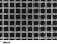 Millipore NY6000010 Naylon Net rulo,H.filik,60µm, 41cm x 3m  Ambalaj Miktarı: 1 Ad.