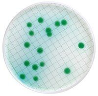 Millipore MXSMCMC24 Milliflex kaset- MacConkey Agar  Ambalaj Miktarı: 24x10 Ml.