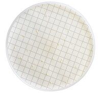 Millipore MXSMCRA48 Milliflex kaset-R2A Agar  Ambalaj Miktarı: 48x10 Ml.