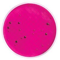 Millipore MXSMEND48 Milliflex kaset- m-Endo LES Agar  Ambalaj Miktarı: 48x10 Ml.