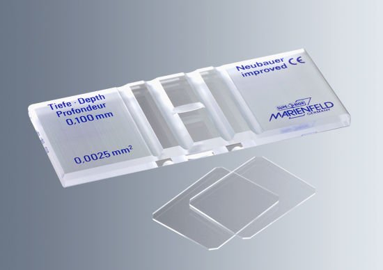 Marienfeld 640810 Thoma Neu Lamı, (CE)  Ambalaj Miktarı: 1 Ad.