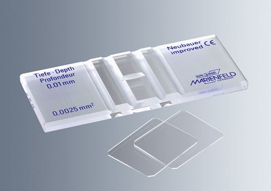 Marienfeld 642010 Neubauer-improved (Petroff) Lamı 0.01 mm (CE)  Ambalaj Miktarı: 1 Ad.