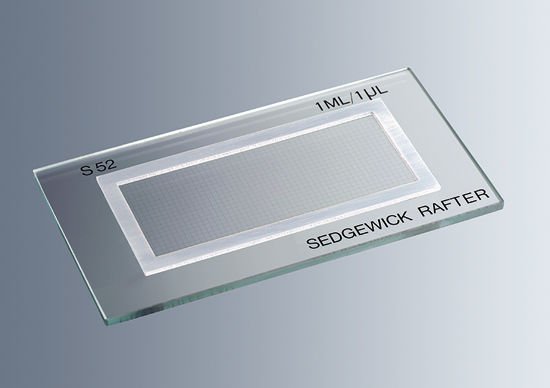 Marienfeld 611300 Sedgewick Rafter Lamı, Cam  Ambalaj Miktarı: 1 Ad.