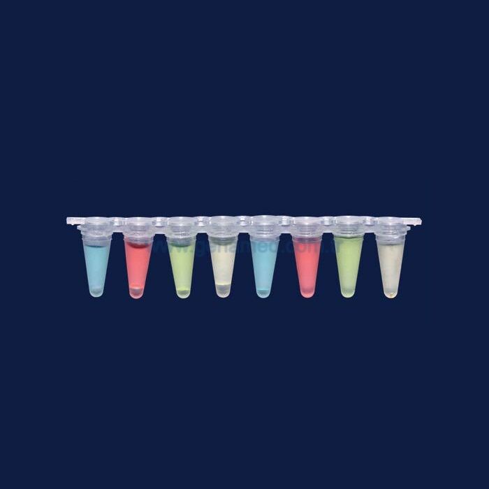 ISOLAB 123.02.028 qPCR tüpleri - düz kapak - ayrı kapaklı - 8'li şerit - 0,1 ml    1 kolı = 120 adet