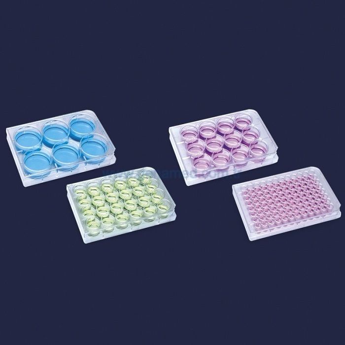 ISOLAB 122.11.048 plak - hücre kültürü - 0,5 ml-48 kuyulu    1 kolı = 100 adet