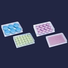 ISOLAB 122.11.048 plak - hücre kültürü - 0,5 ml-48 kuyulu    1 kolı = 100 adet