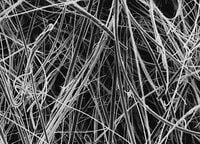 Millipore AQFA09050 Quartz Fiber Filtre, AQFA,90 mm  Ambalaj Miktarı: 50 Ad.
