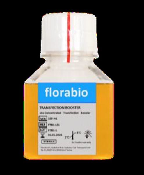 TRANSFECTIONREAGENT Transfection reagent for viral vector production with HEK293 cells. Sufficent for 1 L transfection volume. Liquid 0,003 L